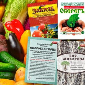 Выбор лучшего удобрения почвы для богатого урожая