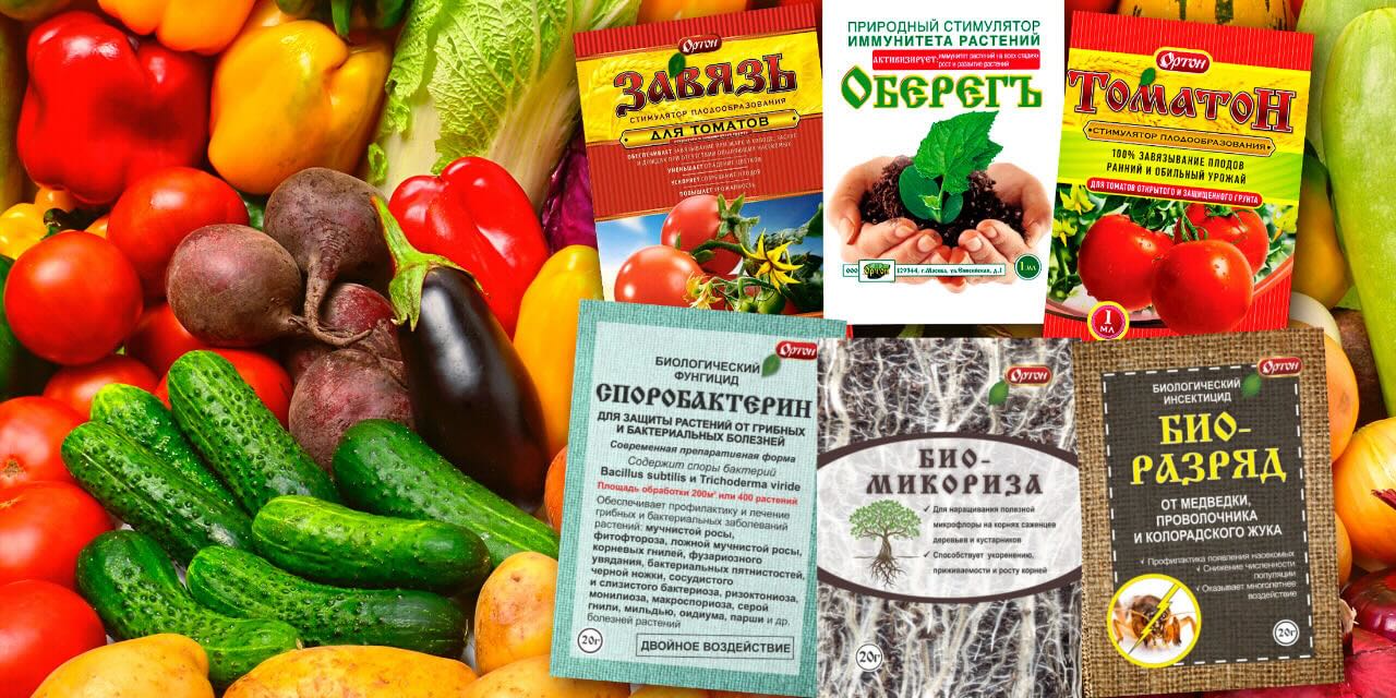 Выбор лучшего удобрения почвы для богатого урожая