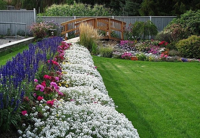 Выбор растений для дачи: создаем райский сад