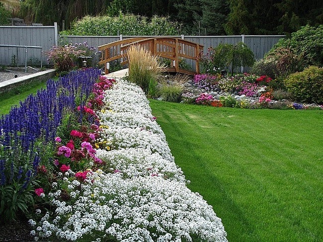 Выбор растений для дачи: создаем райский сад