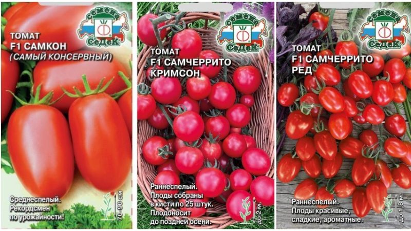 Выбор сортов овощей для богатого урожая: помидоры и огурцы