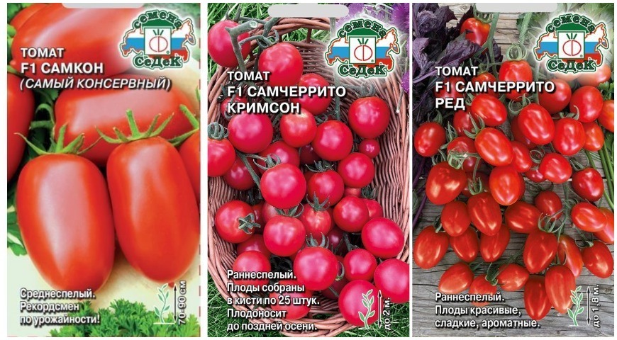 Выбор сортов овощей для богатого урожая: помидоры и огурцы