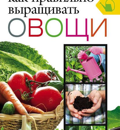 Выращиваем овощи дома: полное руководство для начинающих