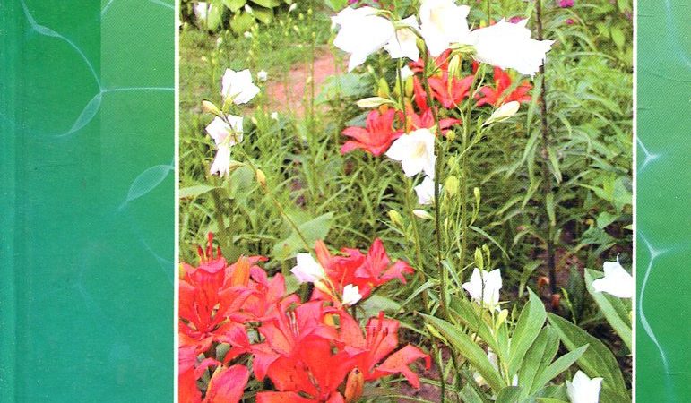 Выращивание цветов для себя и на продажу