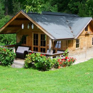 Выращивание газона на даче своими руками: пошаговое руководство