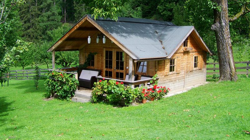 Выращивание газона на даче своими руками: пошаговое руководство