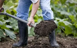 Выращивание овощей для продажи: выбор культур, подготовка почвы и посадка