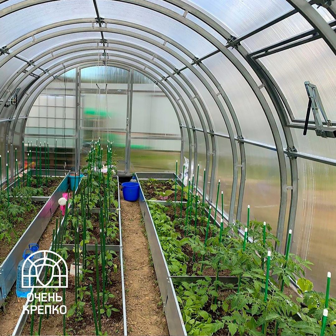 Выращивание овощей в закрытом грунте: полное руководство