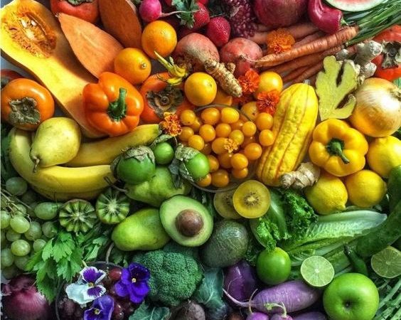 Выращивание собственных овощей и фруктов: преимущества и руководство для начинающих