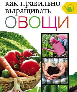 Выращивание собственных овощей и зелени: Руководство для начинающих