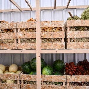 Длительное хранение овощей: выбор сортов и оптимальные условия