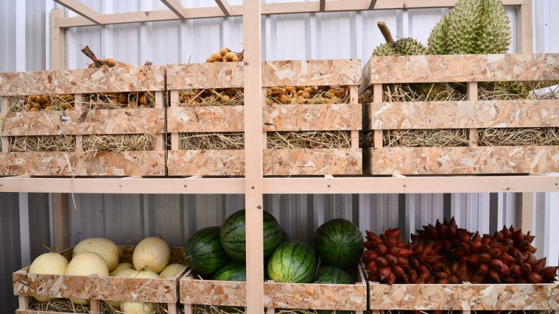 Длительное хранение овощей: выбор сортов и оптимальные условия