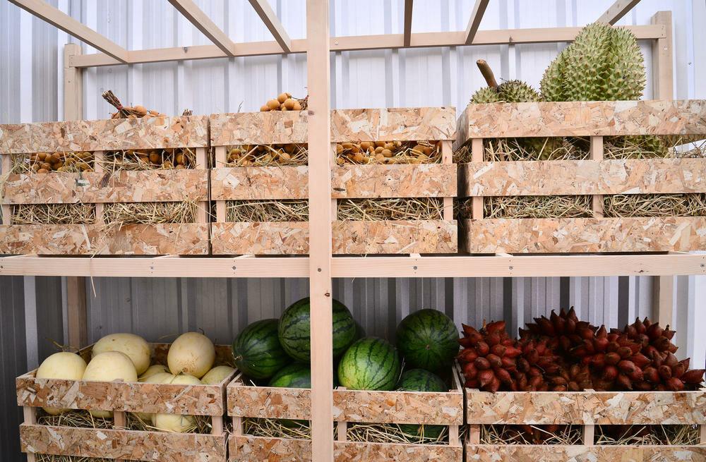 Длительное хранение овощей: выбор сортов и оптимальные условия