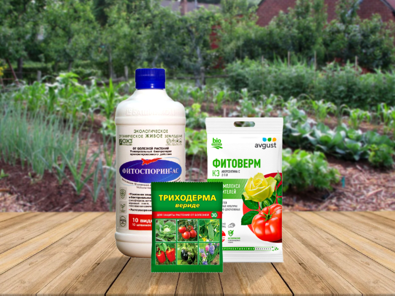 Биопрепараты болезни растений: экологически безопасная защита урожая